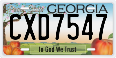GA license plate CXD7547