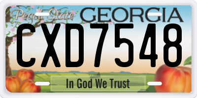 GA license plate CXD7548