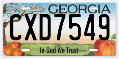 GA license plate CXD7549