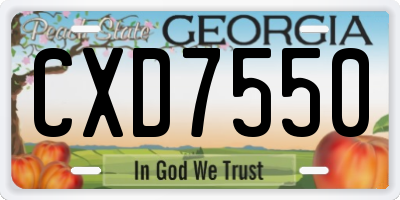 GA license plate CXD7550