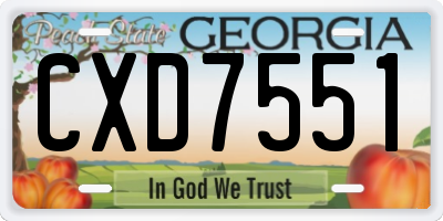 GA license plate CXD7551