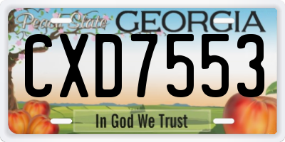 GA license plate CXD7553