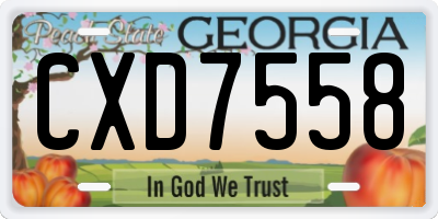 GA license plate CXD7558