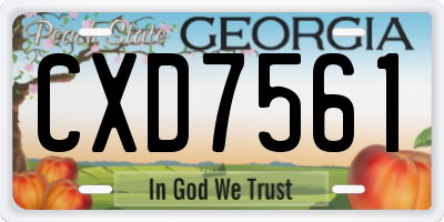 GA license plate CXD7561