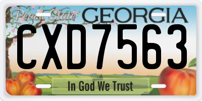 GA license plate CXD7563