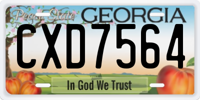 GA license plate CXD7564