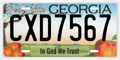 GA license plate CXD7567