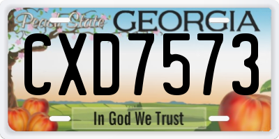 GA license plate CXD7573