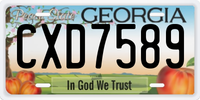 GA license plate CXD7589