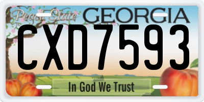 GA license plate CXD7593