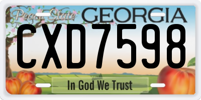GA license plate CXD7598