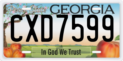 GA license plate CXD7599