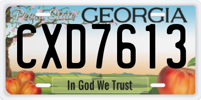 GA license plate CXD7613