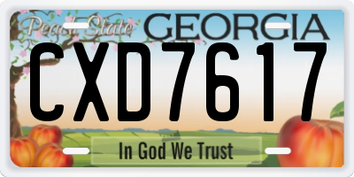 GA license plate CXD7617