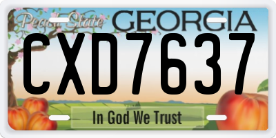 GA license plate CXD7637