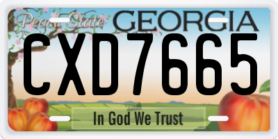 GA license plate CXD7665