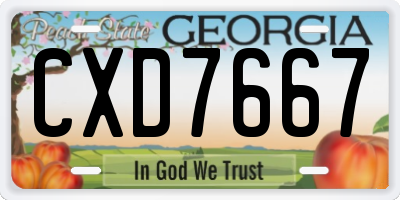 GA license plate CXD7667