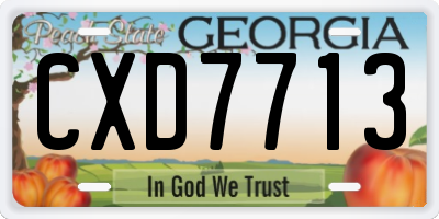 GA license plate CXD7713