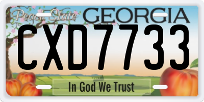 GA license plate CXD7733