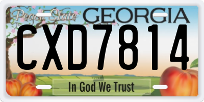 GA license plate CXD7814