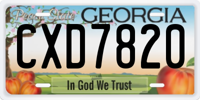 GA license plate CXD7820