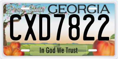 GA license plate CXD7822