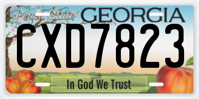 GA license plate CXD7823