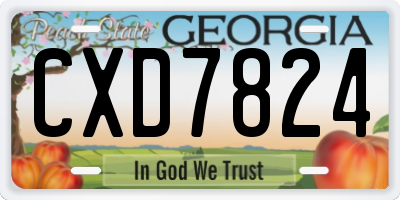 GA license plate CXD7824