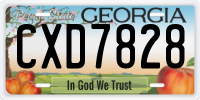 GA license plate CXD7828