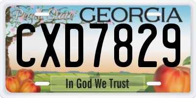 GA license plate CXD7829
