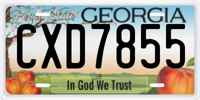 GA license plate CXD7855