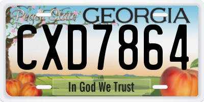 GA license plate CXD7864