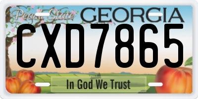GA license plate CXD7865