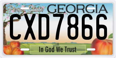 GA license plate CXD7866