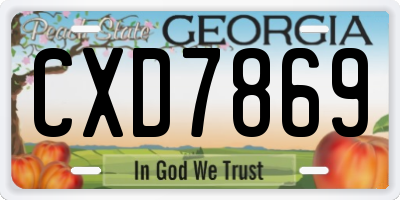 GA license plate CXD7869