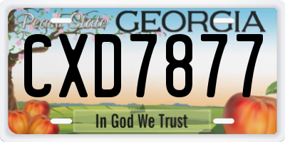GA license plate CXD7877