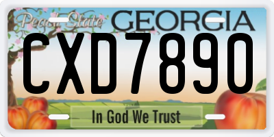 GA license plate CXD7890