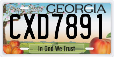 GA license plate CXD7891