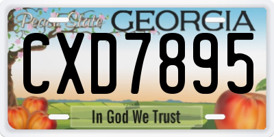 GA license plate CXD7895