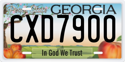GA license plate CXD7900