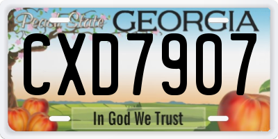 GA license plate CXD7907