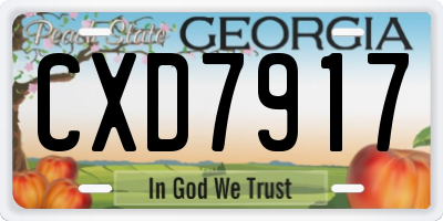 GA license plate CXD7917