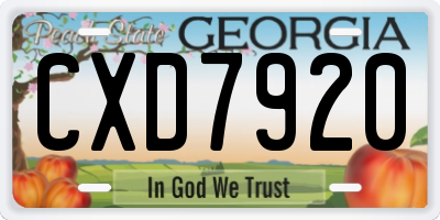 GA license plate CXD7920