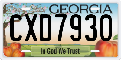 GA license plate CXD7930