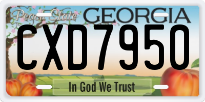 GA license plate CXD7950