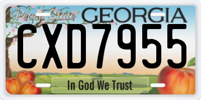 GA license plate CXD7955