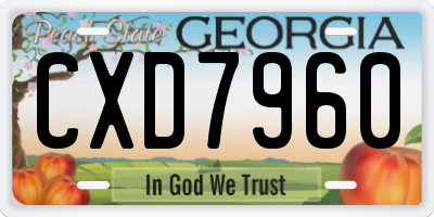 GA license plate CXD7960