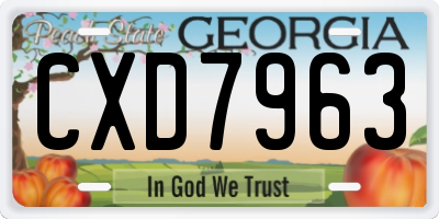 GA license plate CXD7963