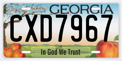 GA license plate CXD7967