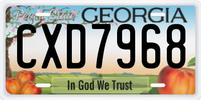 GA license plate CXD7968